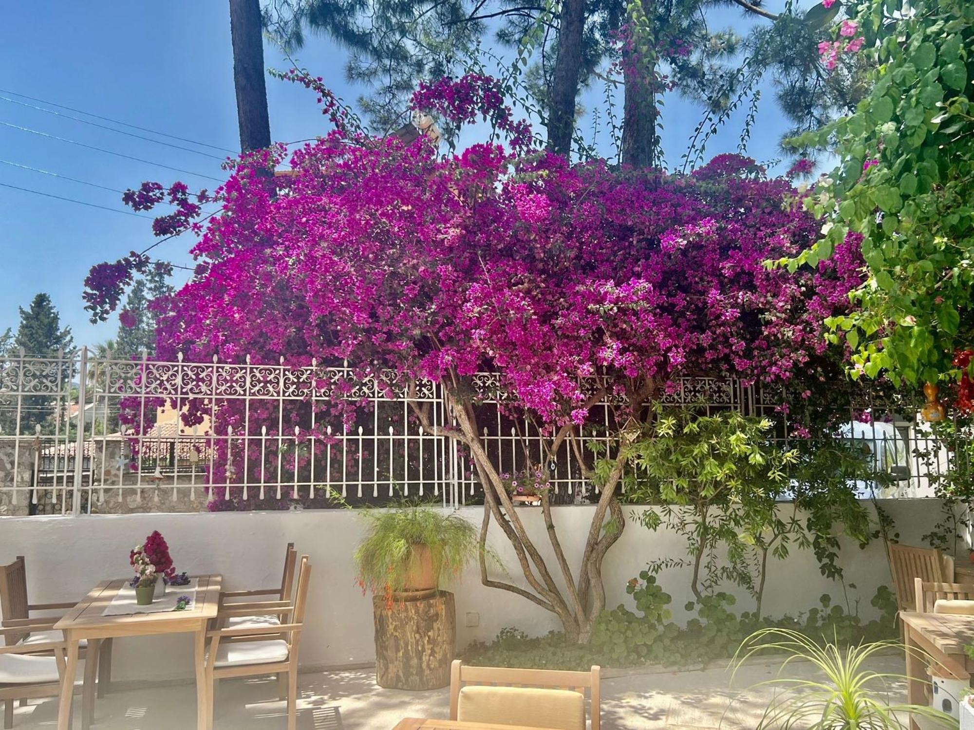 Carikci Hotel Marmaris Exterior foto